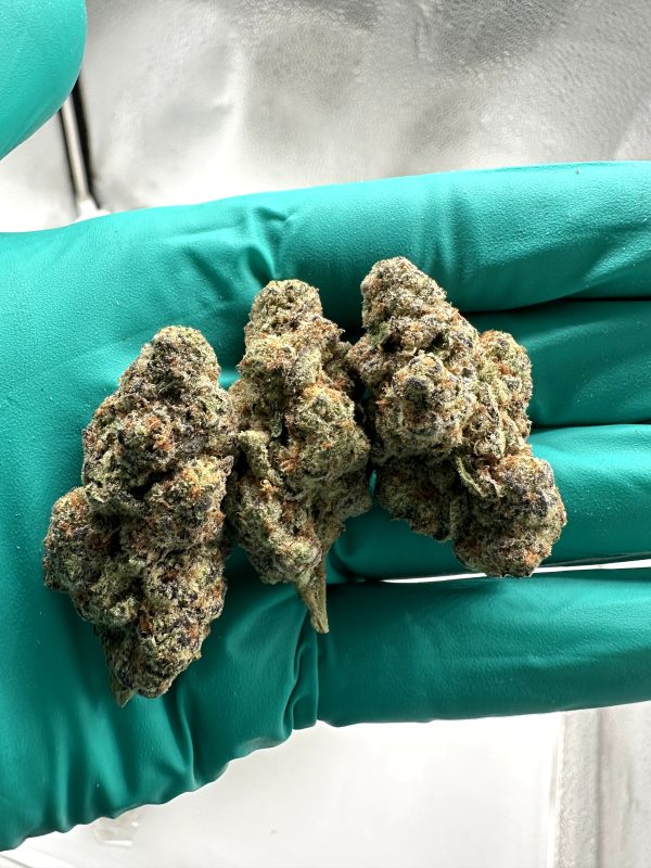Glitter Bomb - THCA Flower (Indica) - Image 2