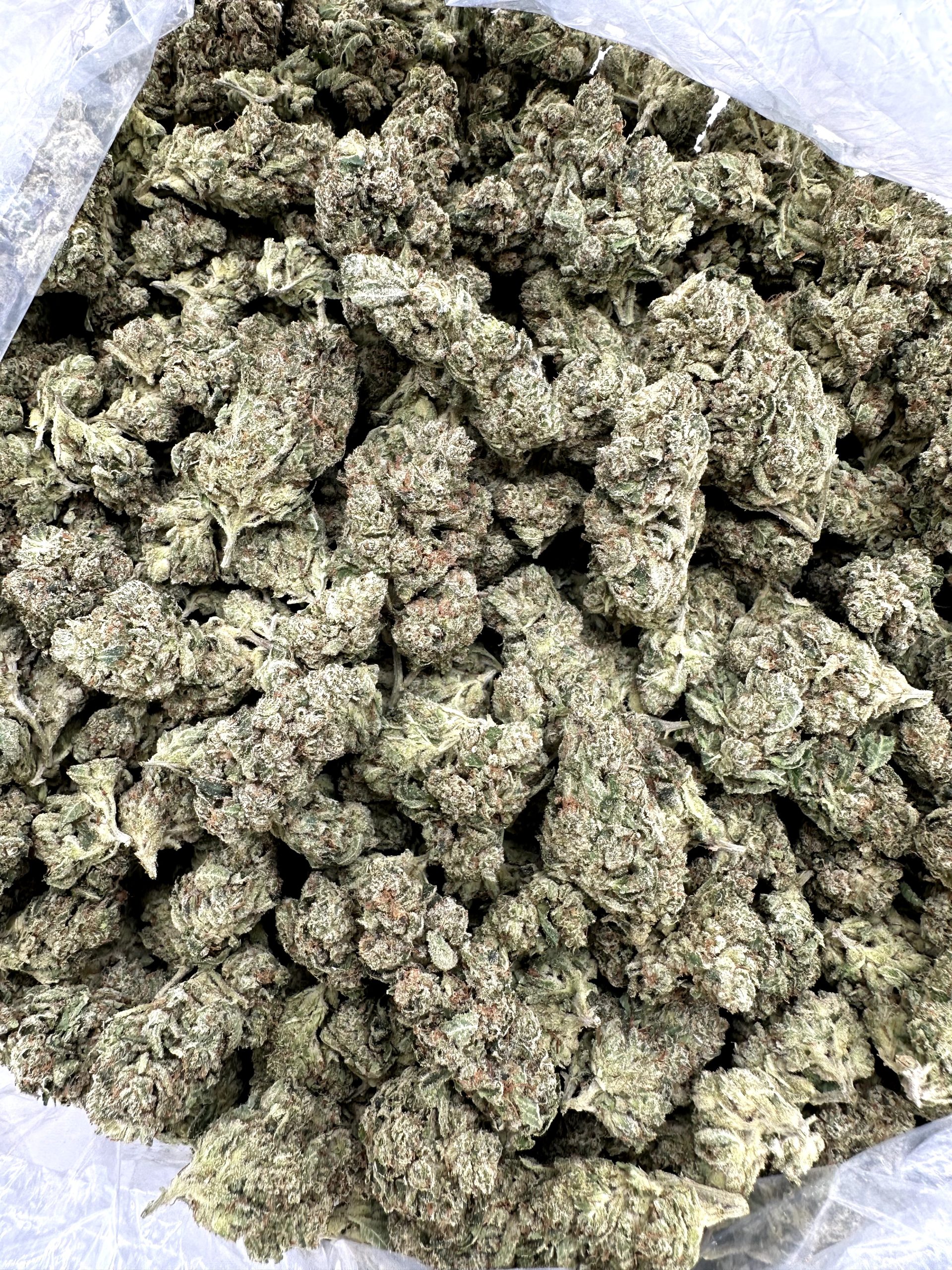 Jet Fuel THCA Flower (Sativa) Delta 8 Denton