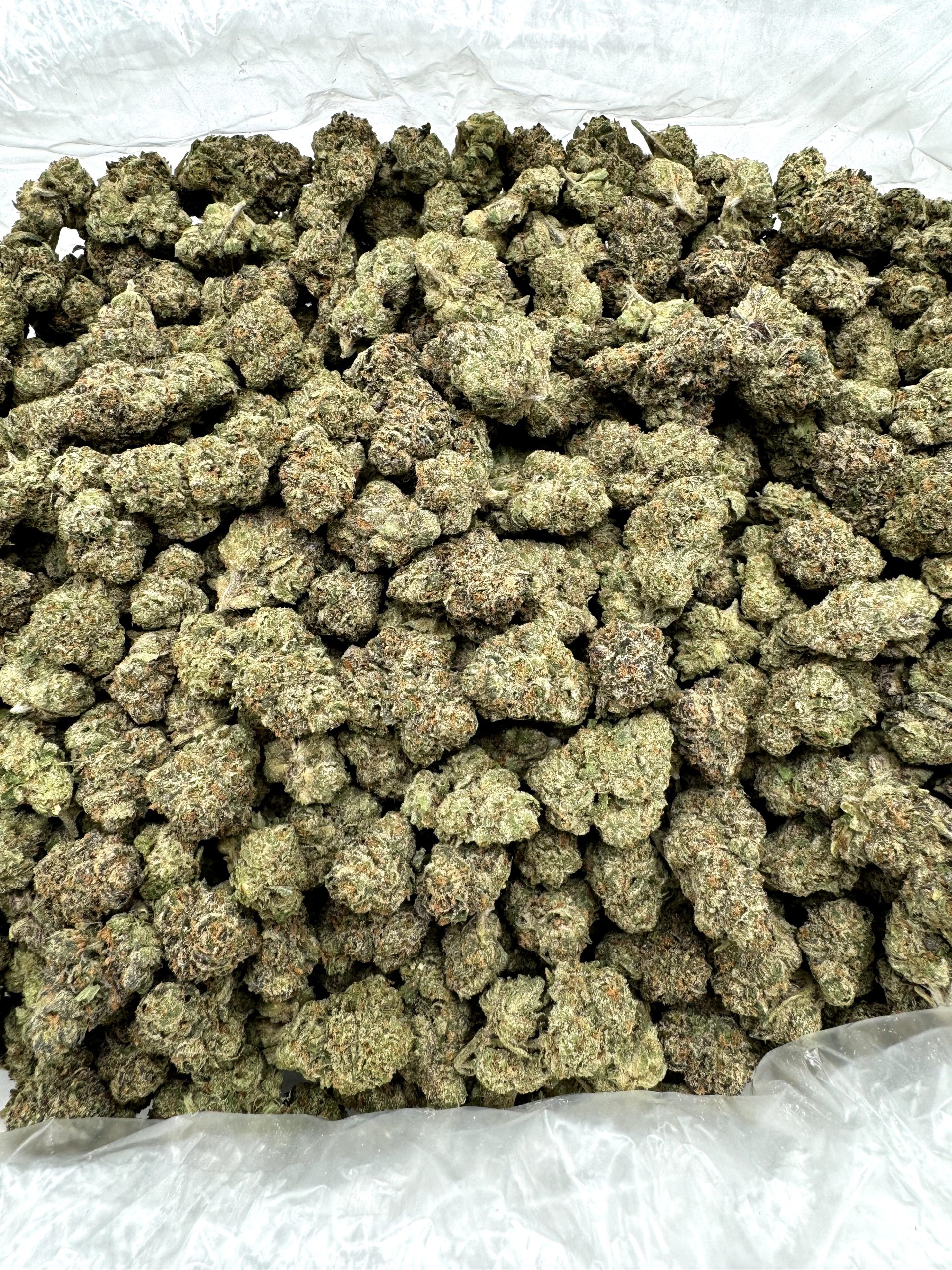 Lemon Cherry Gelato - THCA Flower (Hybrid)