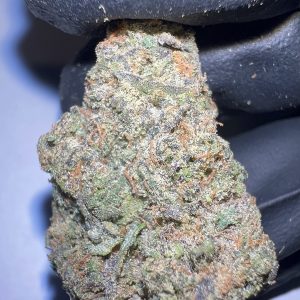 Gary Payton - THCA Flower (Hybrid)