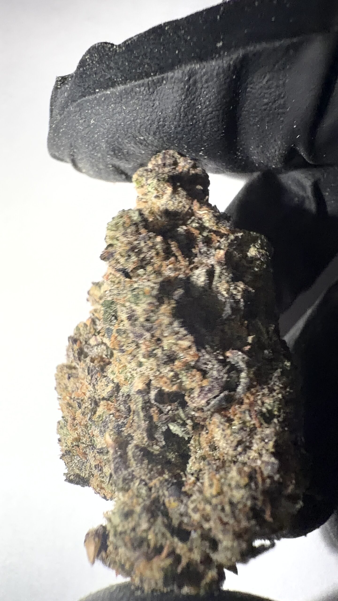 Pineapple Express - THCA Flower (Sativa) - Image 7