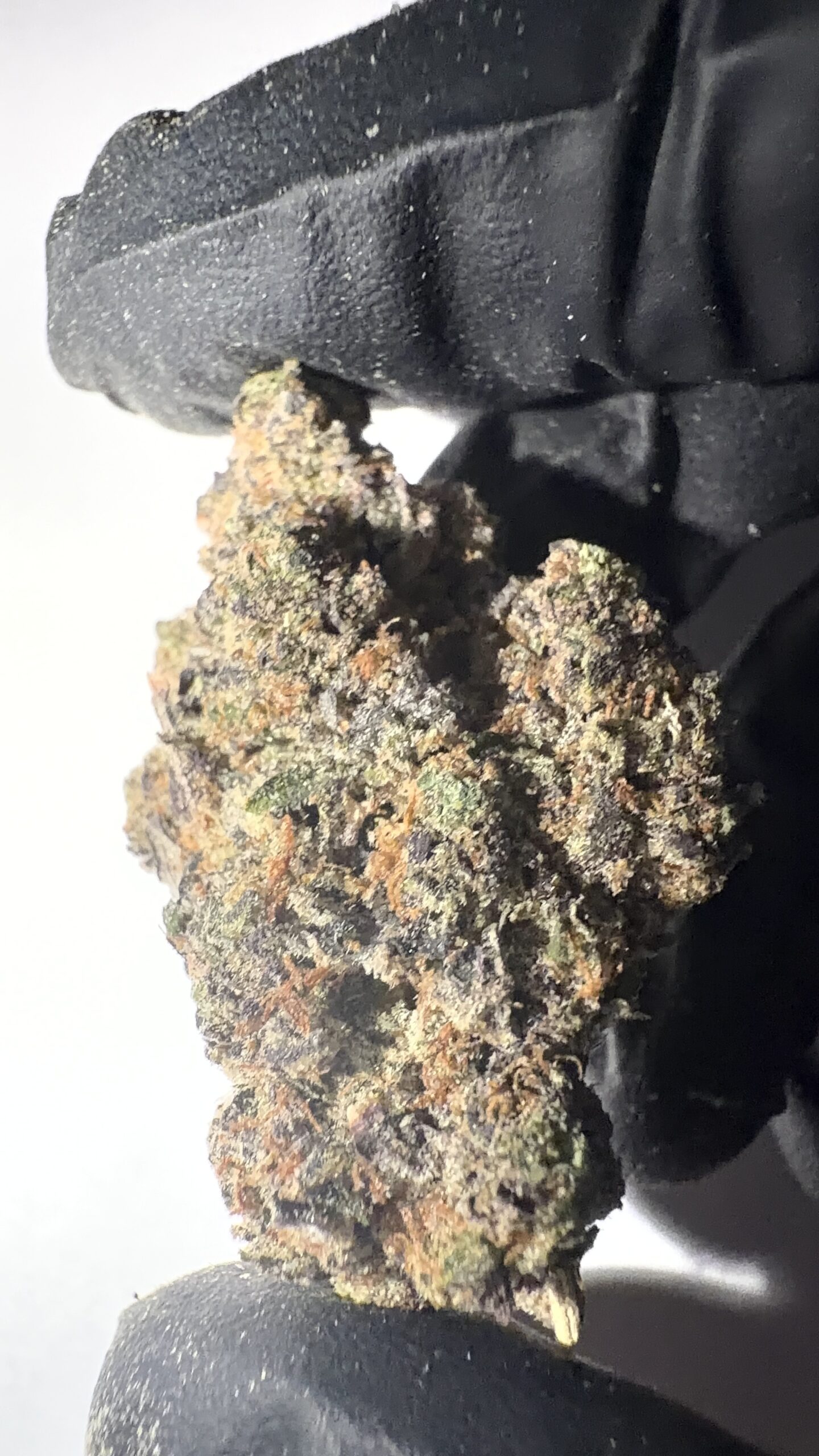 Pineapple Express - THCA Flower (Sativa) - Image 2