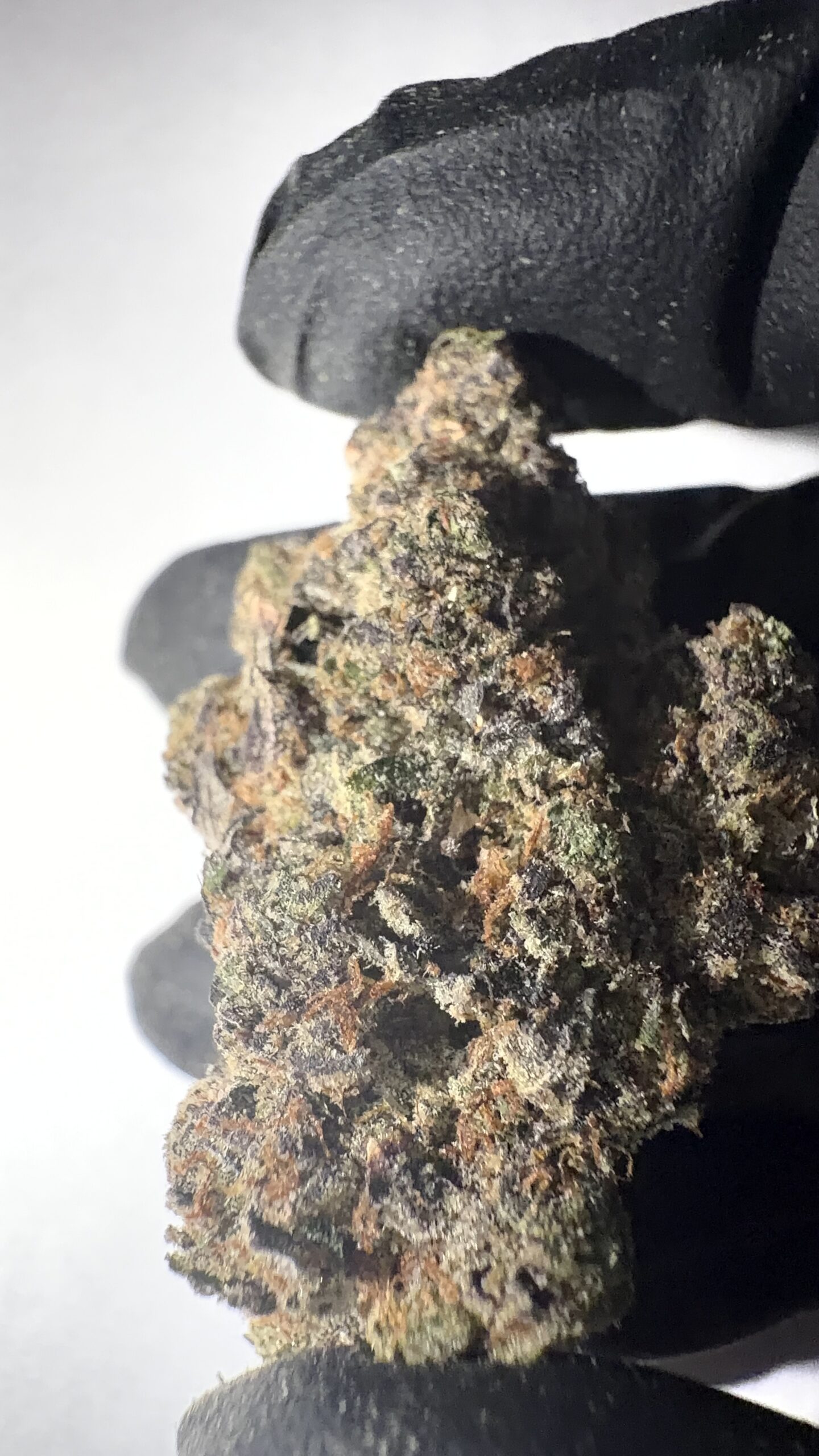 Pineapple Express - THCA Flower (Sativa) - Image 5