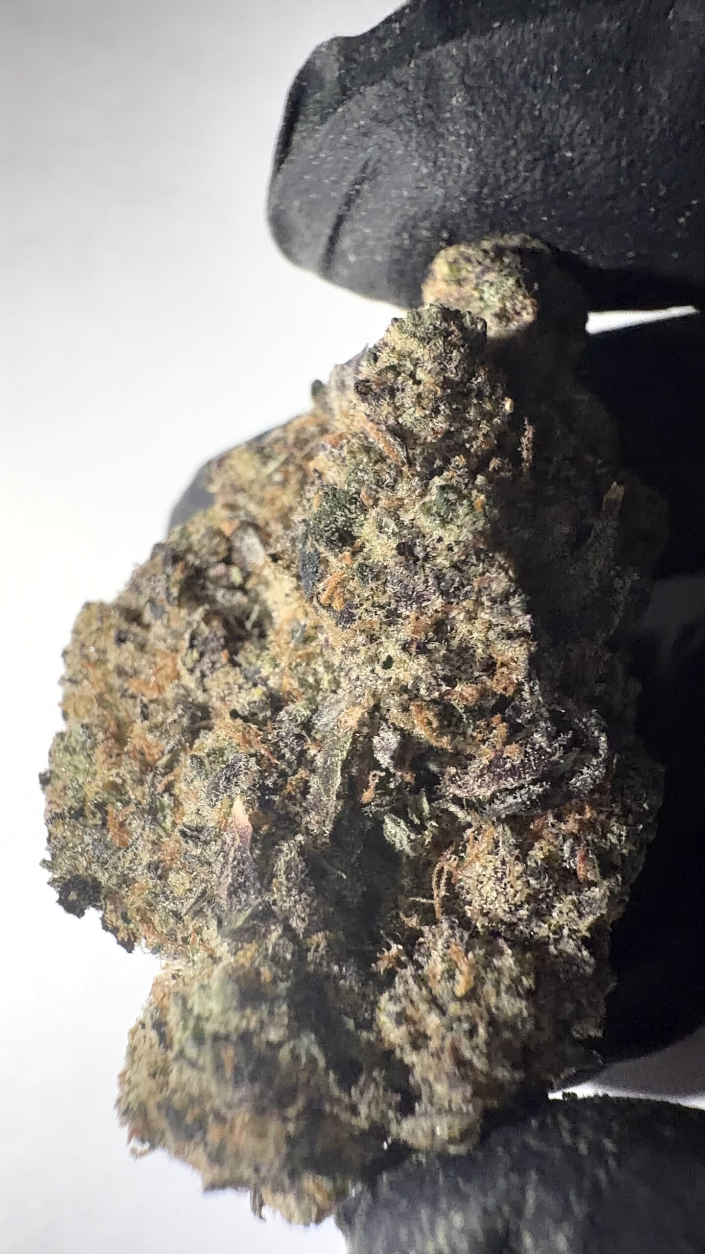 Pineapple Express - THCA Flower (Sativa)