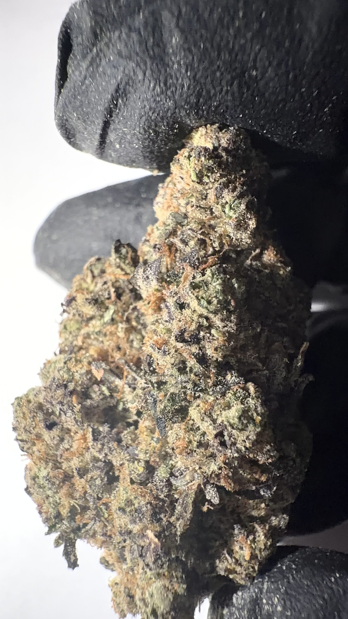 Pineapple Express - THCA Flower (Sativa) - Image 3