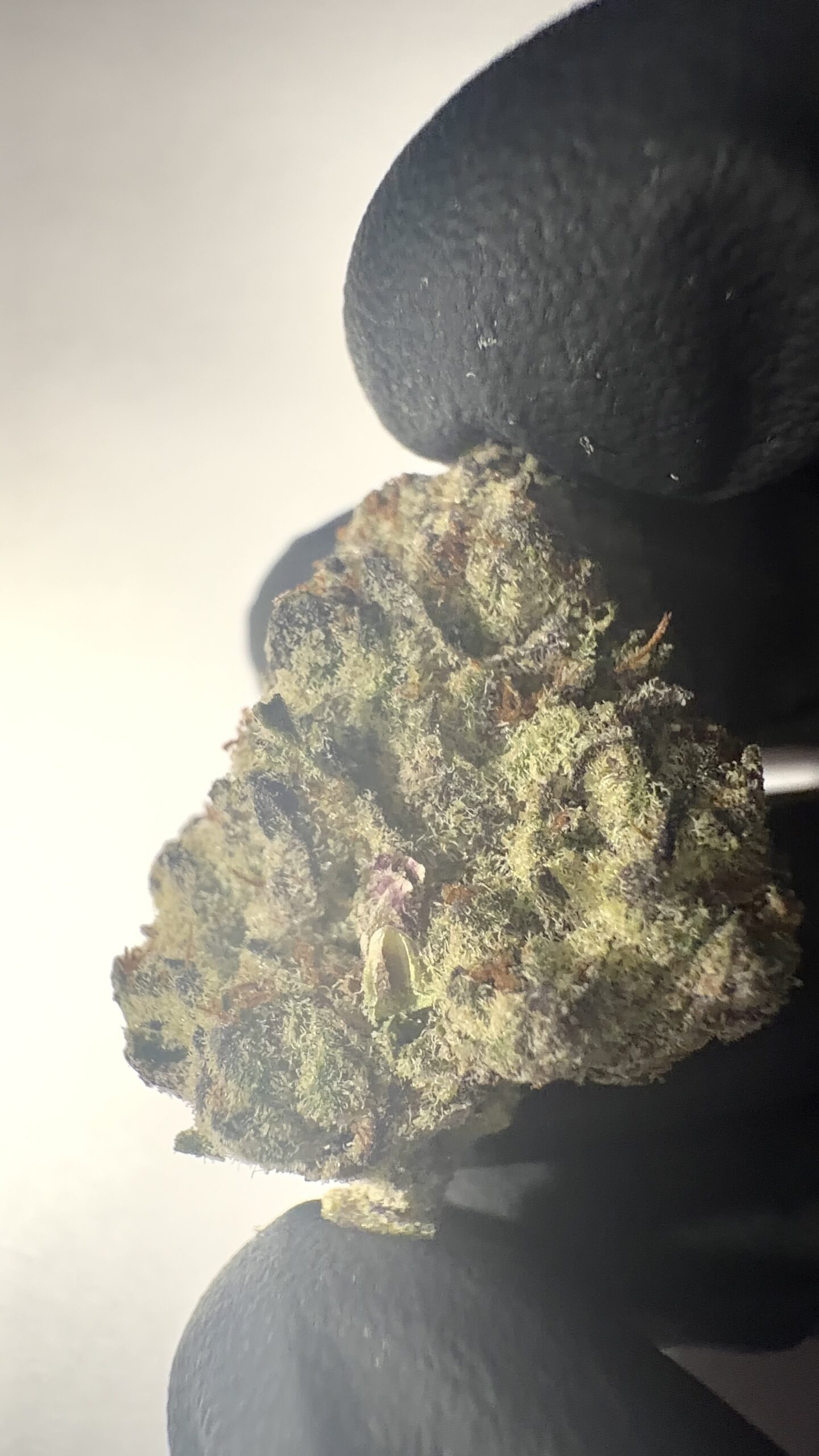 Pure Michigan - THCA Flower (Indica) - Image 7