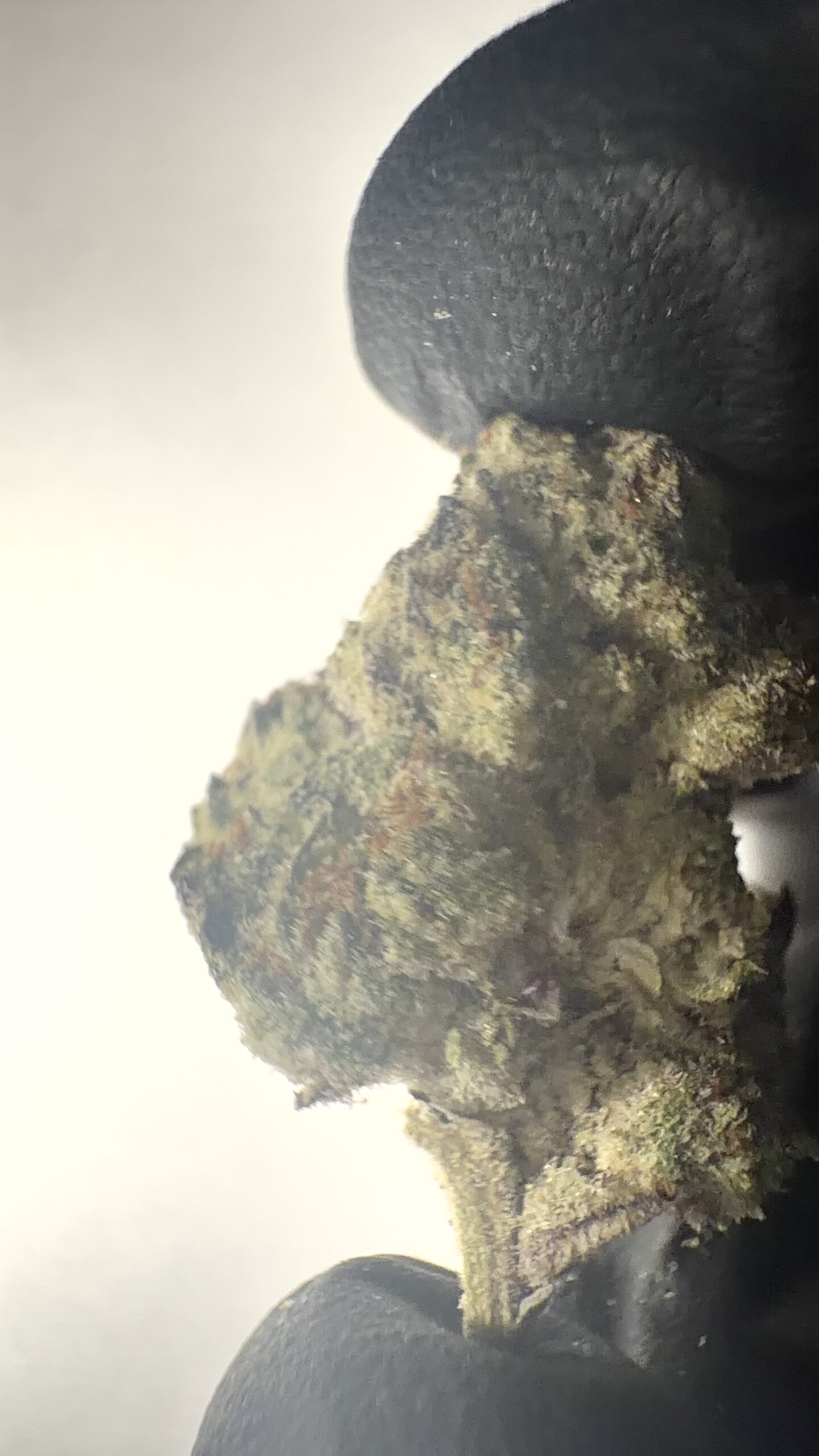 Pure Michigan - THCA Flower (Indica) - Image 5