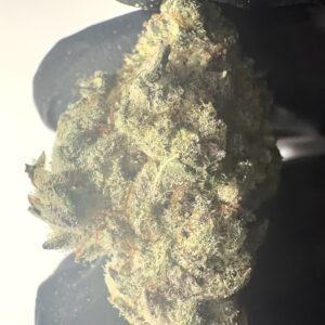 Pure Michigan - THCA Flower (Indica)