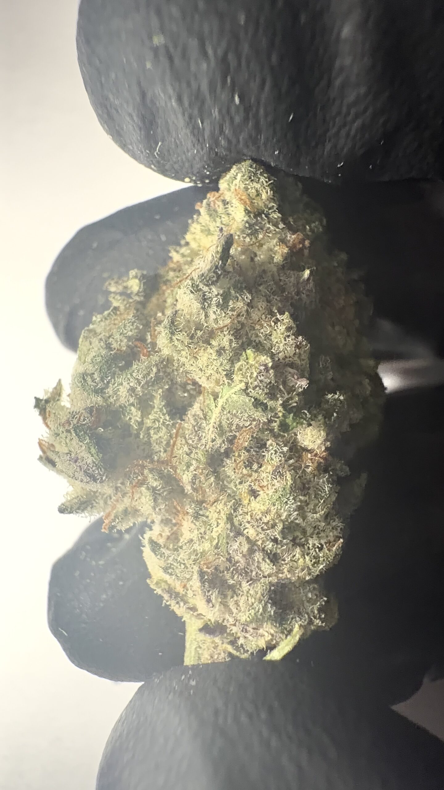Pure Michigan - THCA Flower (Indica)