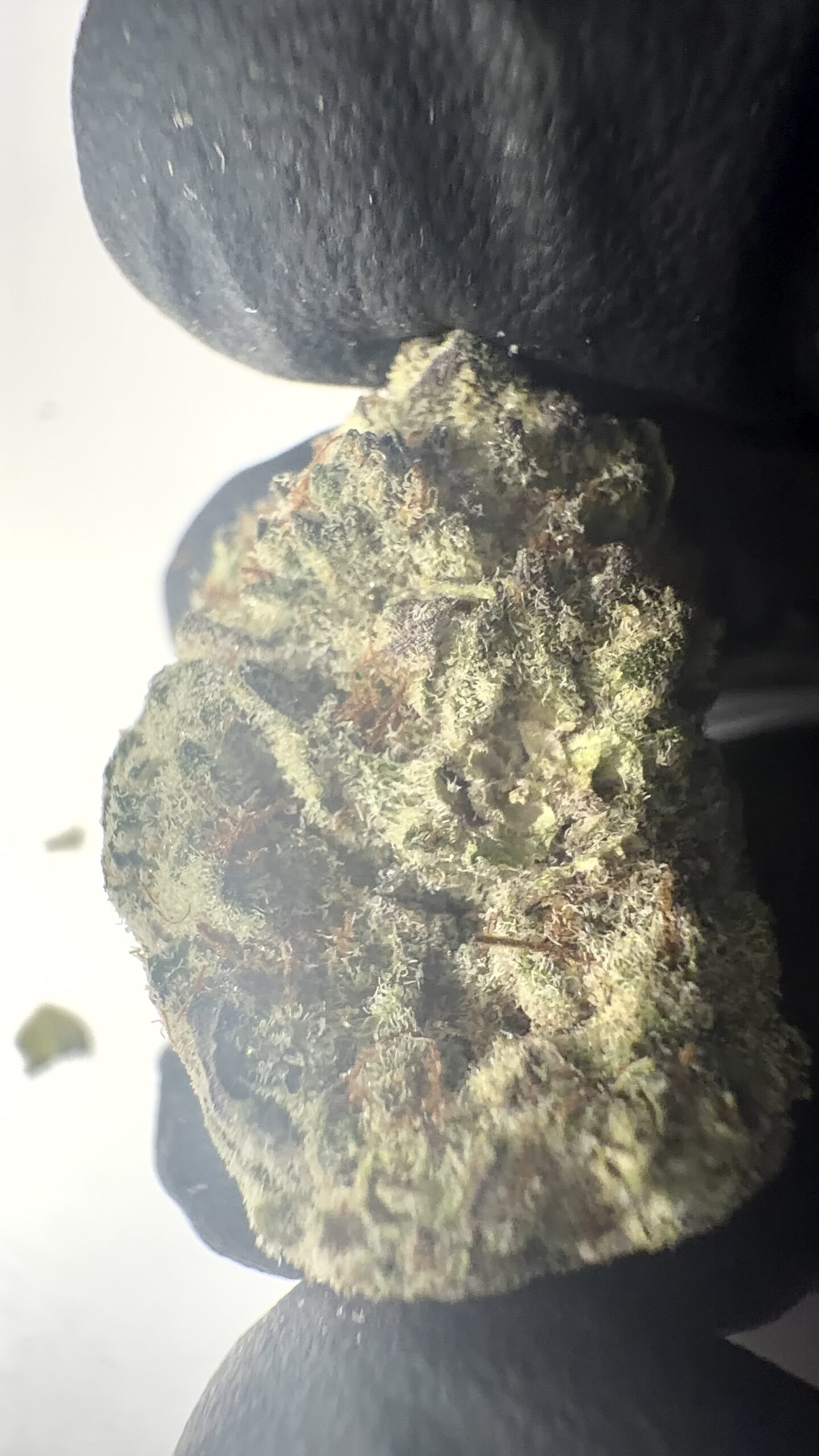 Pure Michigan - THCA Flower (Indica) - Image 3