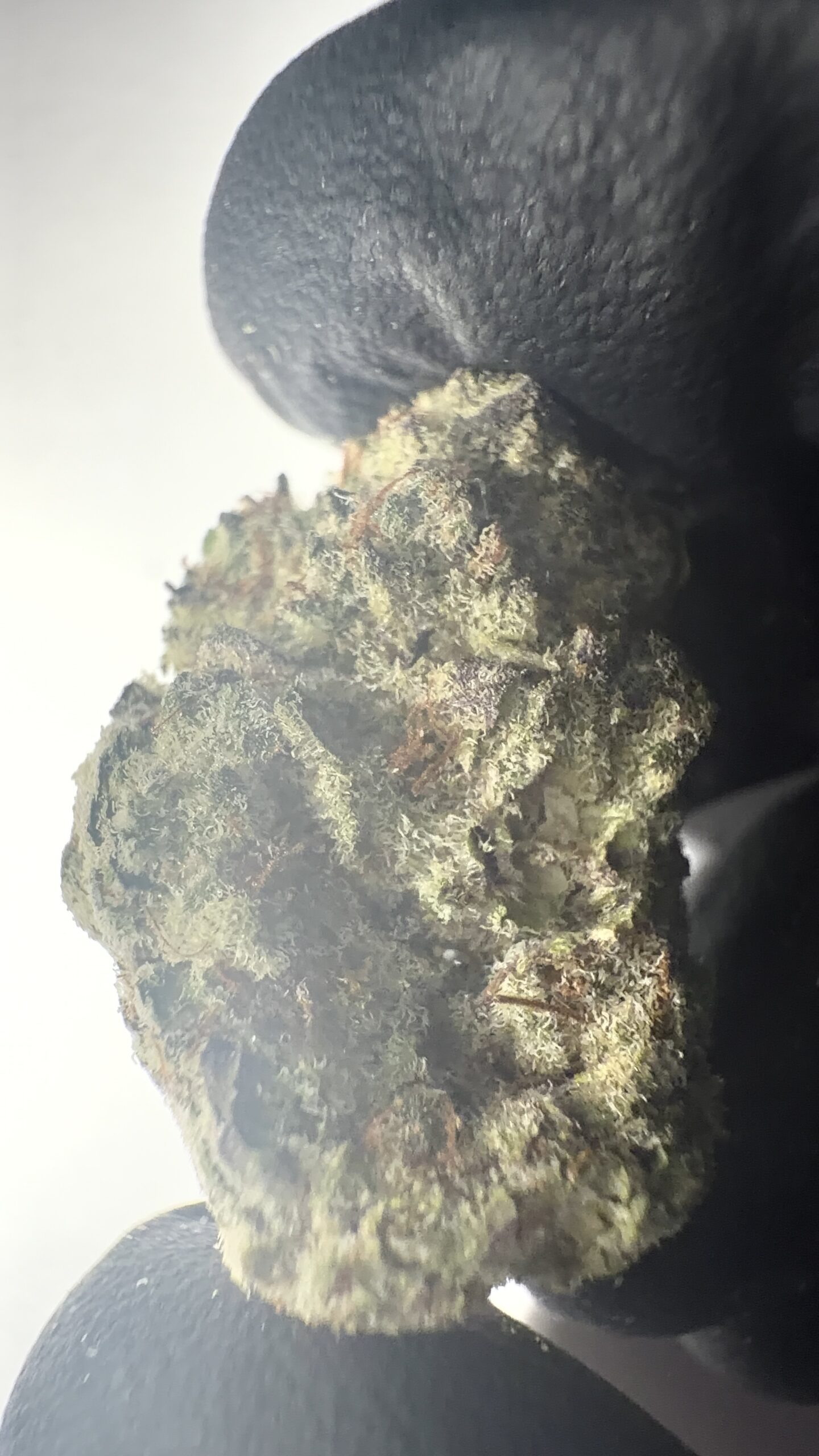 Pure Michigan - THCA Flower (Indica) - Image 2