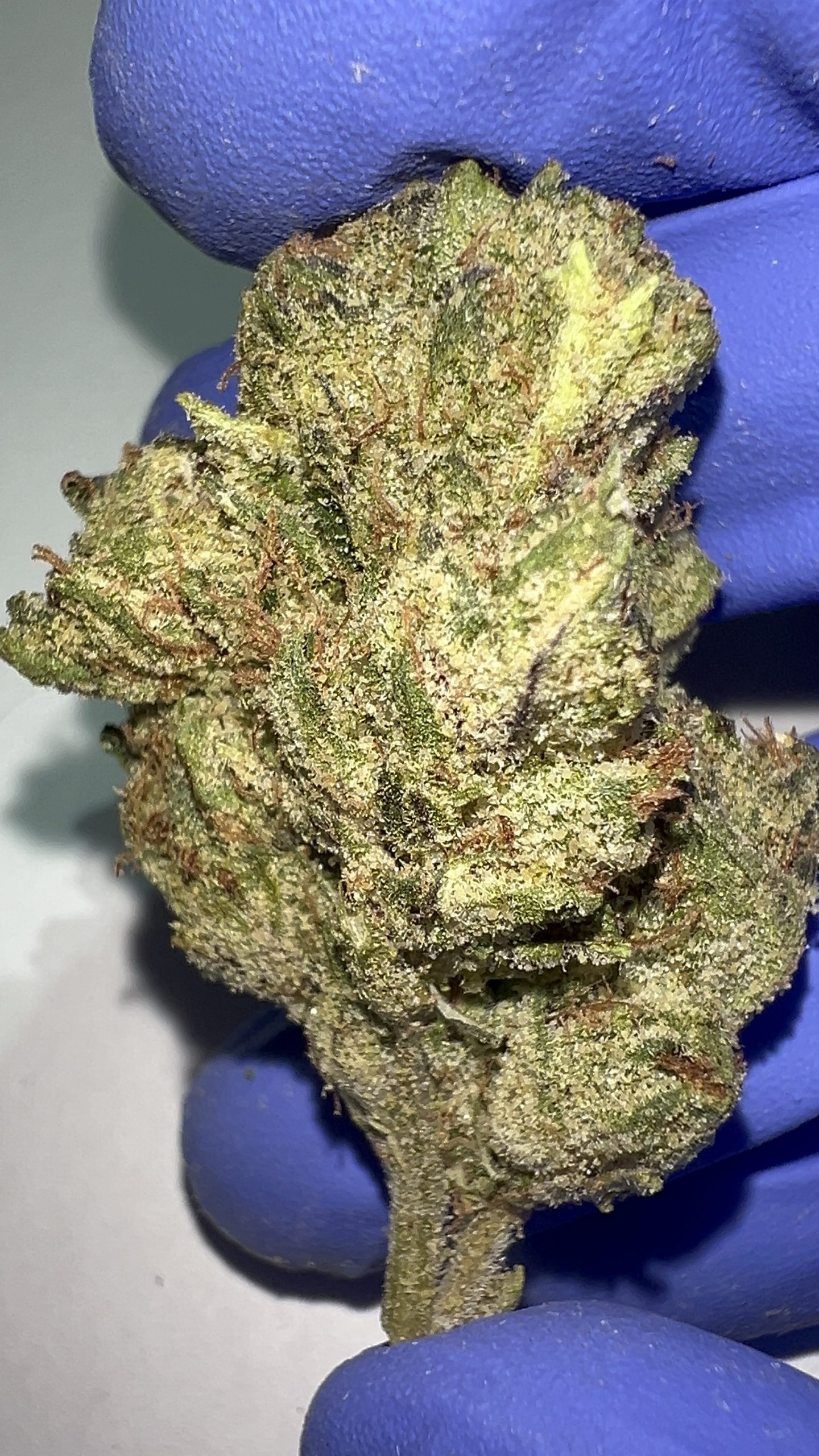 Royal Cherry Diesel - THCA Flower (Sativa)