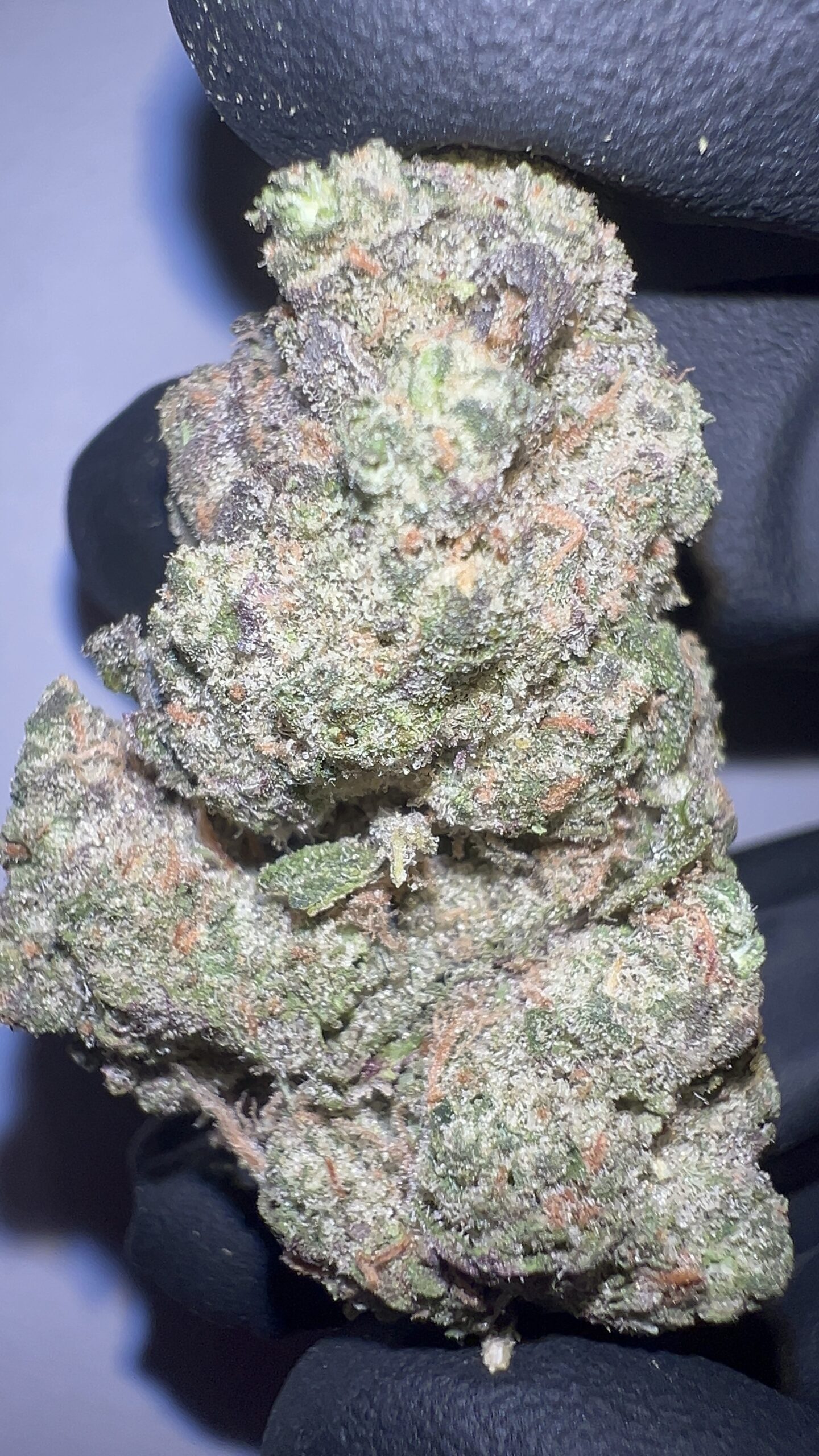 Alaskan Thunder Fuck - THCA Flower (Hybrid) - Image 2