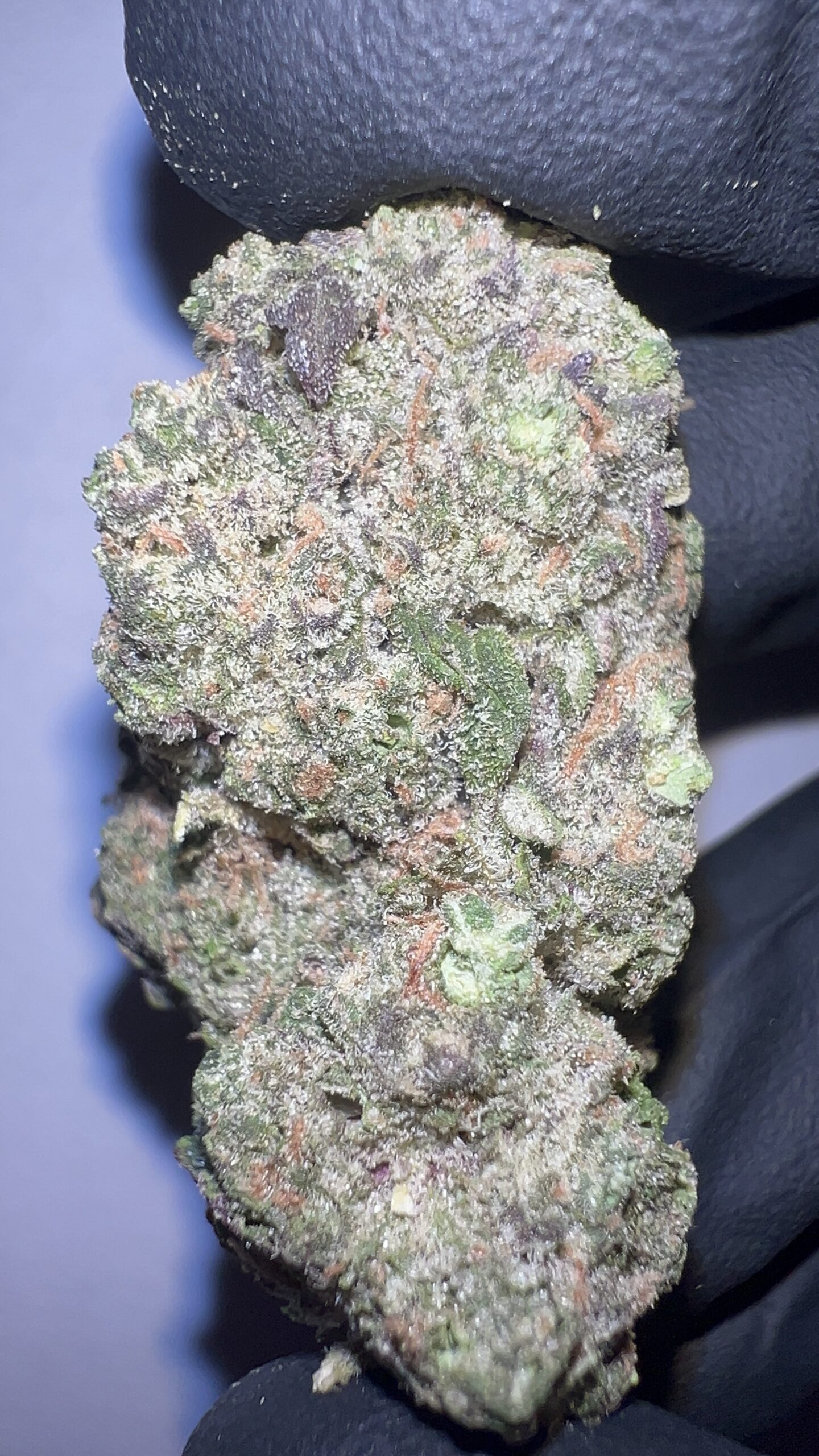 Alaskan Thunder Fuck - THCA Flower (Hybrid) - Image 3