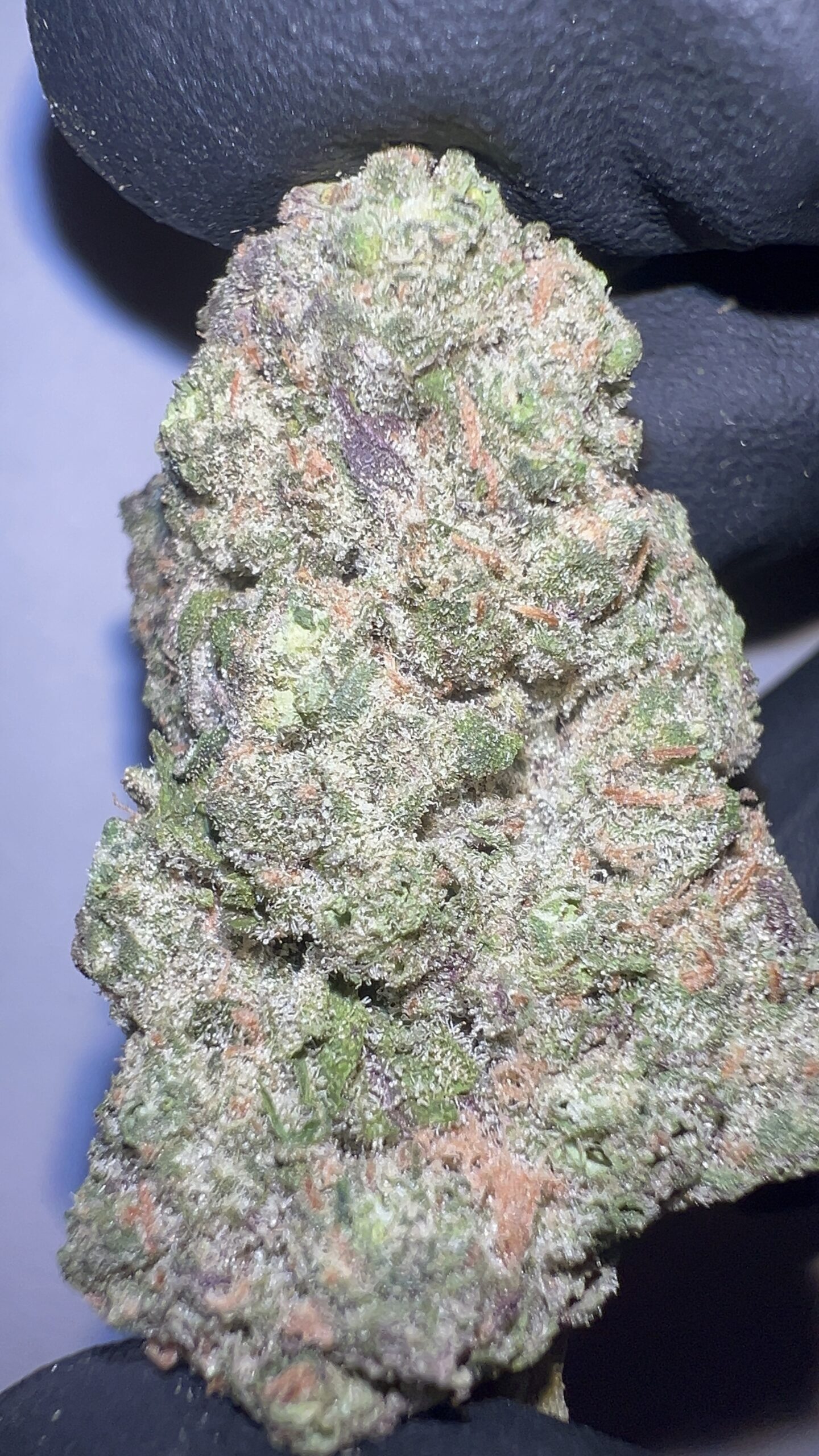 Alaskan Thunder Fuck - THCA Flower (Hybrid)