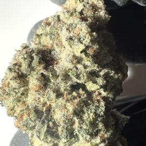 Tangie - THCA Flower (Sativa)