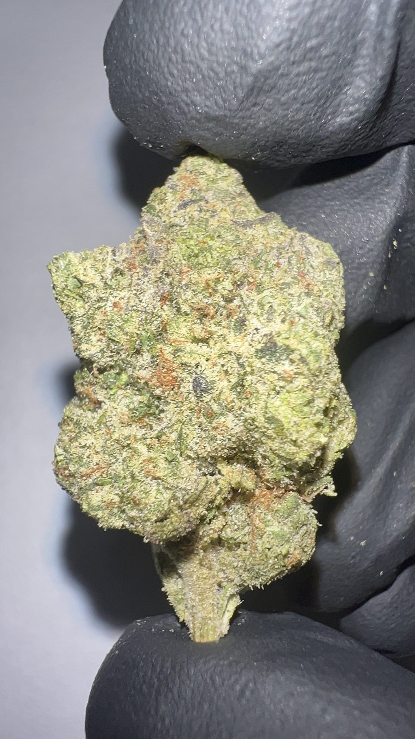 Carbon Fiber - THCA Flower (Indica) - Image 2