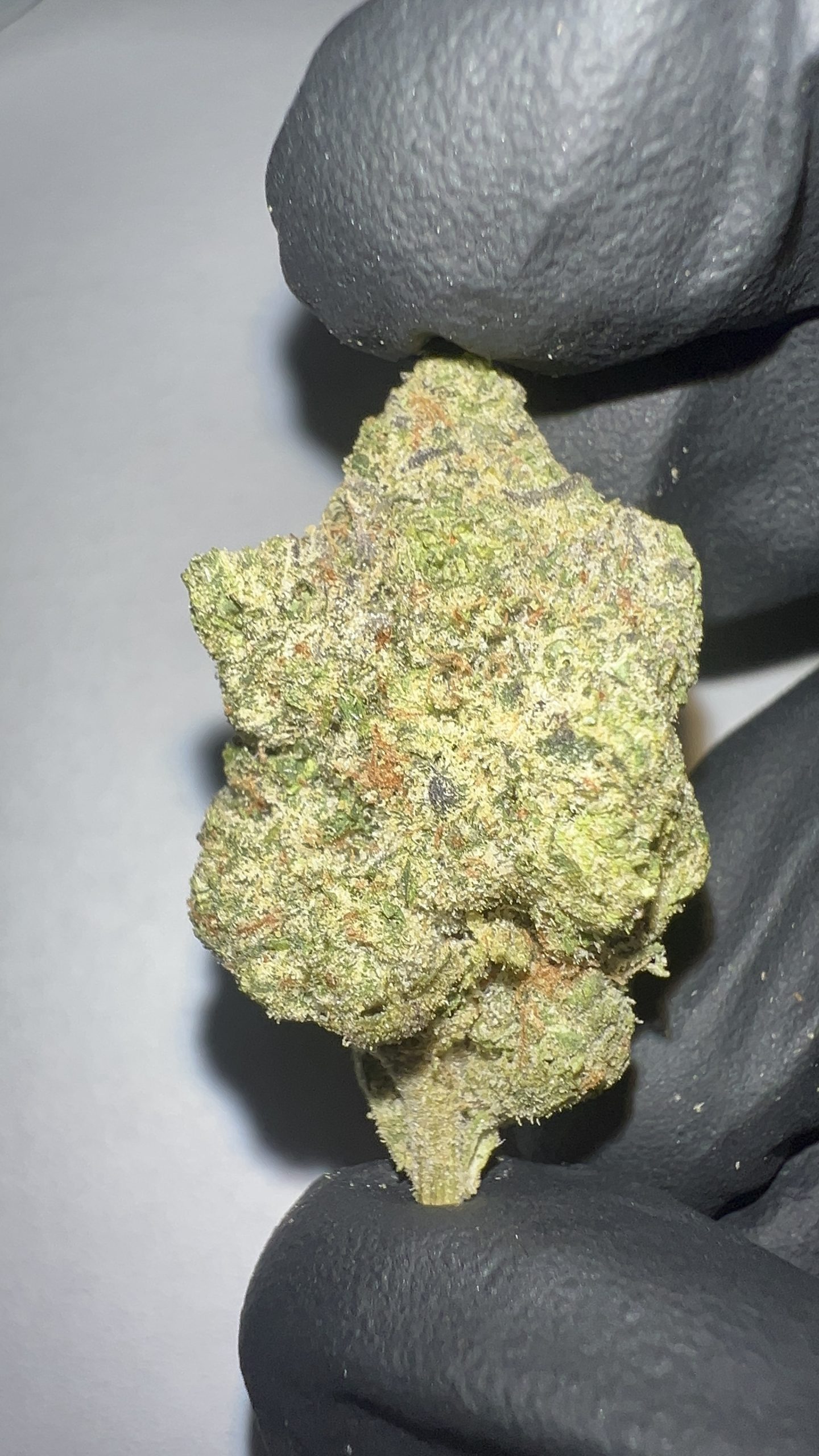 Carbon Fiber - THCA Flower (Indica) - Image 4