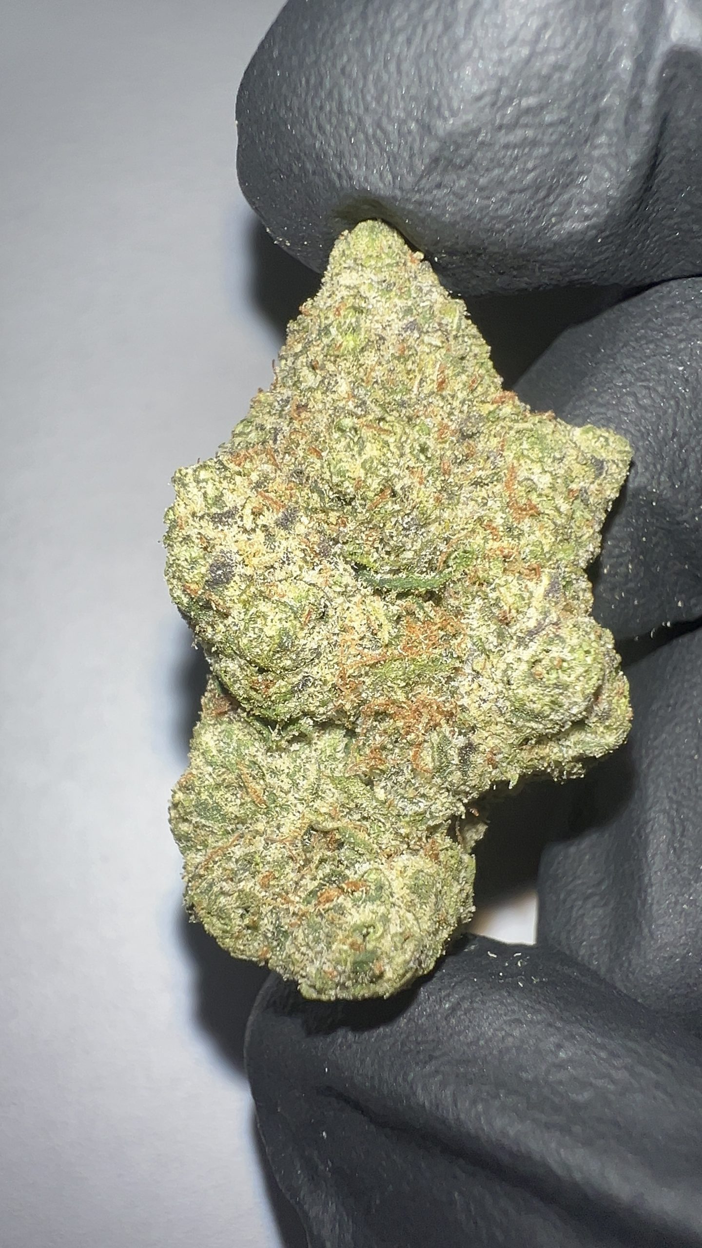Carbon Fiber - THCA Flower (Indica) - Image 3