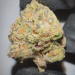 Grape Gas - THCA Flower (Indica)