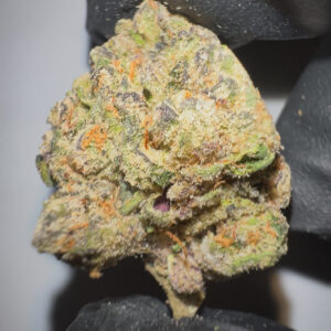 Grape Gas - THCA Flower (Indica)