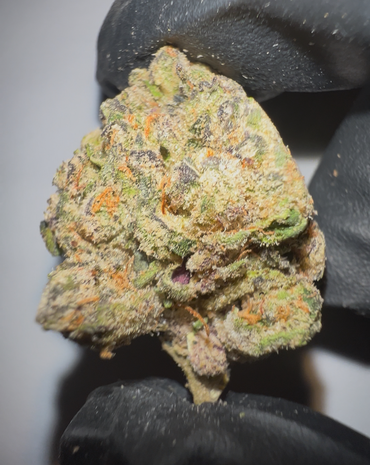Grape Gas - THCA Flower (Indica)