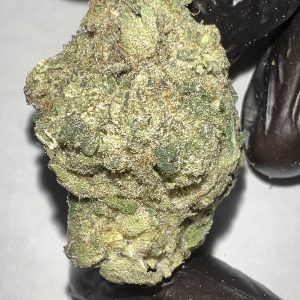 Sherblato - THCA Flower (Hybrid)