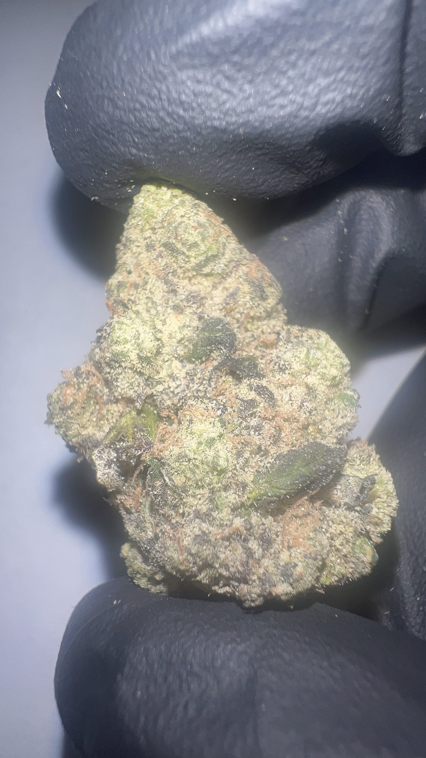 Grape Gas - THCA Flower (Indica) - Image 5