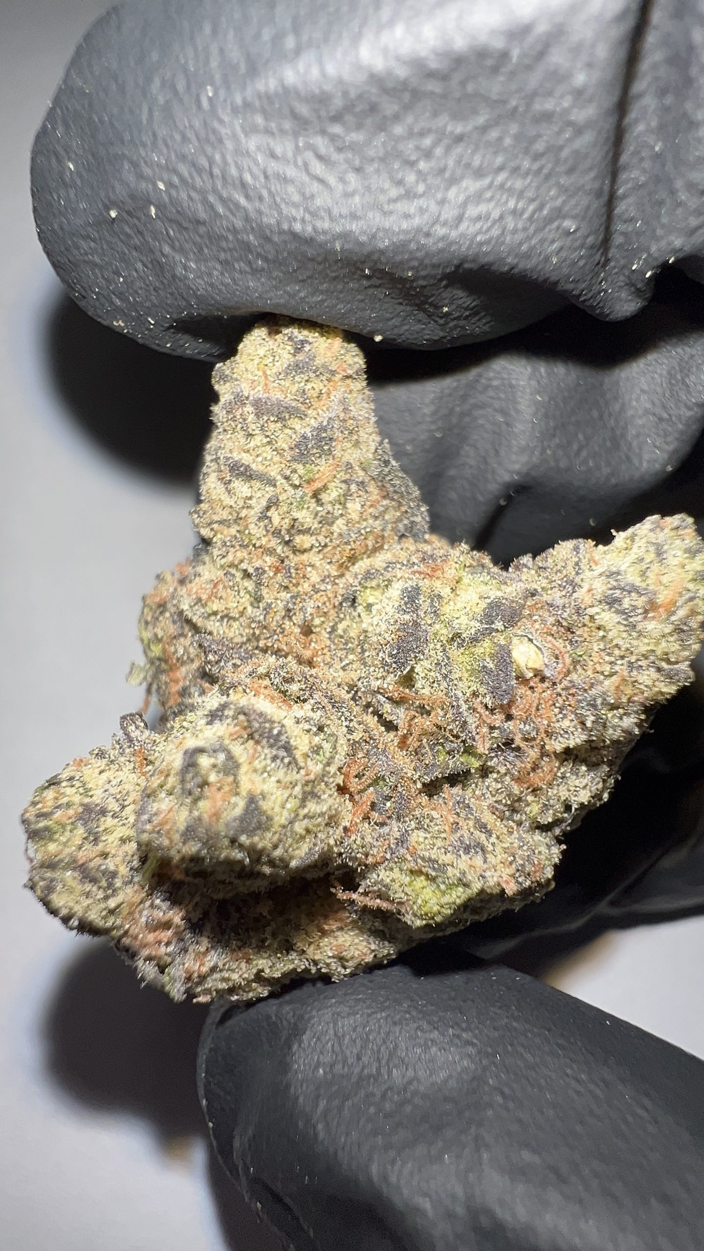 Grape Gas - THCA Flower (Indica) - Image 4