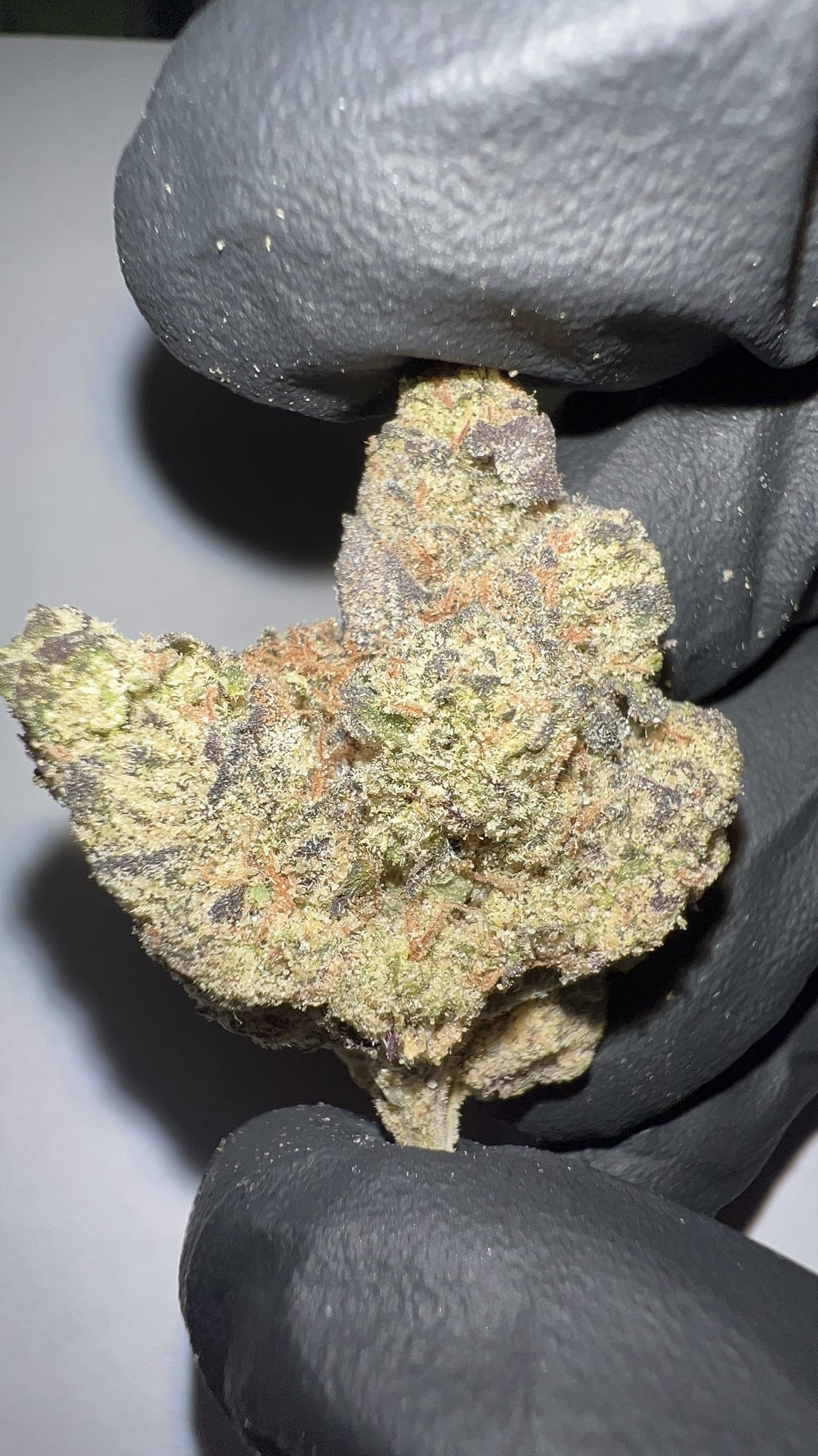 Grape Gas - THCA Flower (Indica)