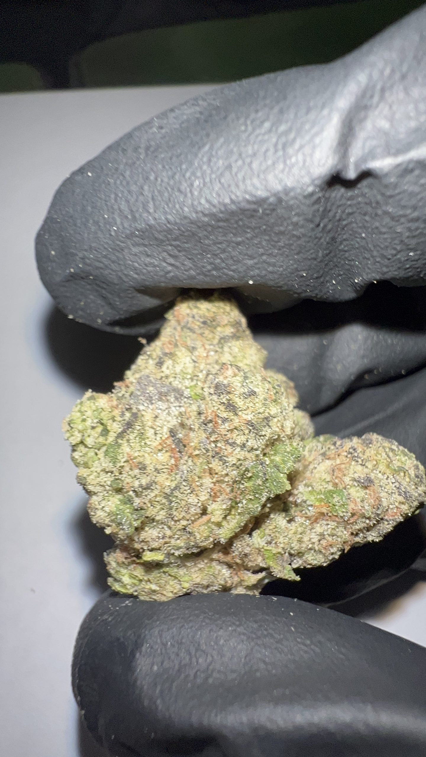 Grape Gas - THCA Flower (Indica) - Image 2