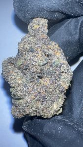 Purple Panty Dropper - THCA Flower (Indica)