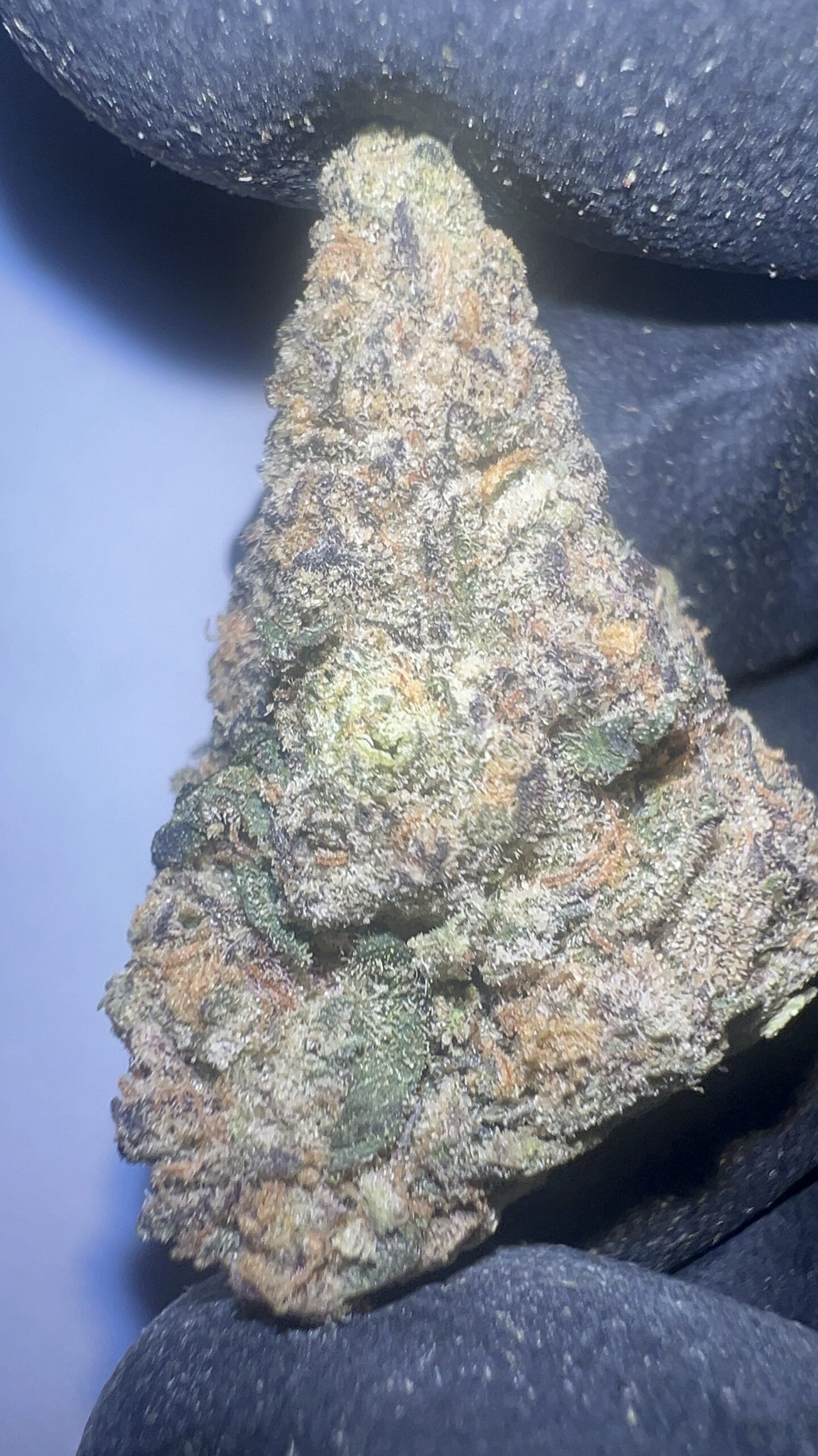 Purple Panty Dropper - THCA Flower (Indica) - Image 2
