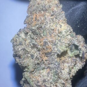 Purple Panty Dropper - THCA Flower (Indica)