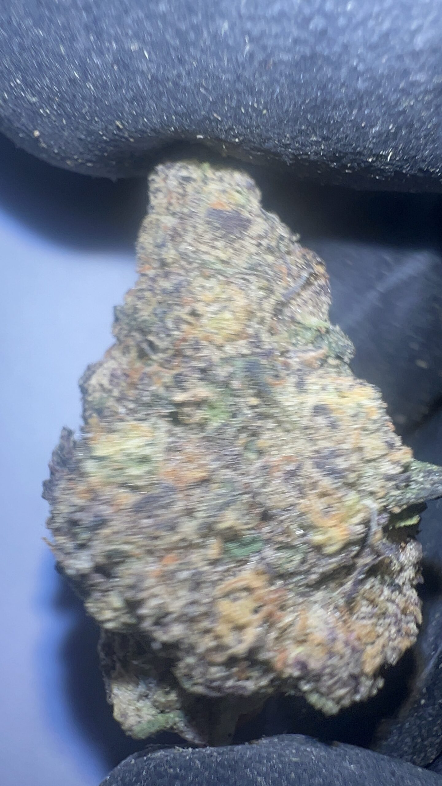 Purple Panty Dropper - THCA Flower (Indica) - Image 4