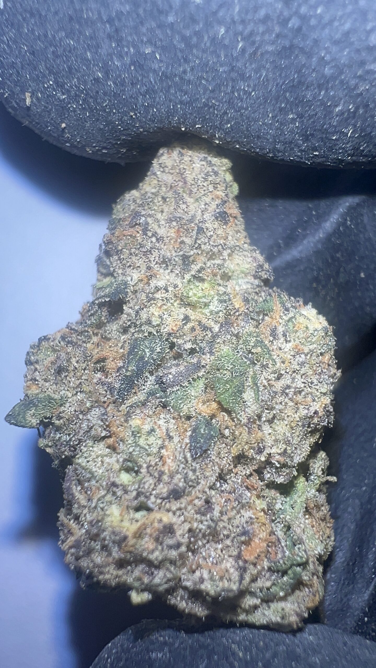 Purple Panty Dropper - THCA Flower (Indica) - Image 5