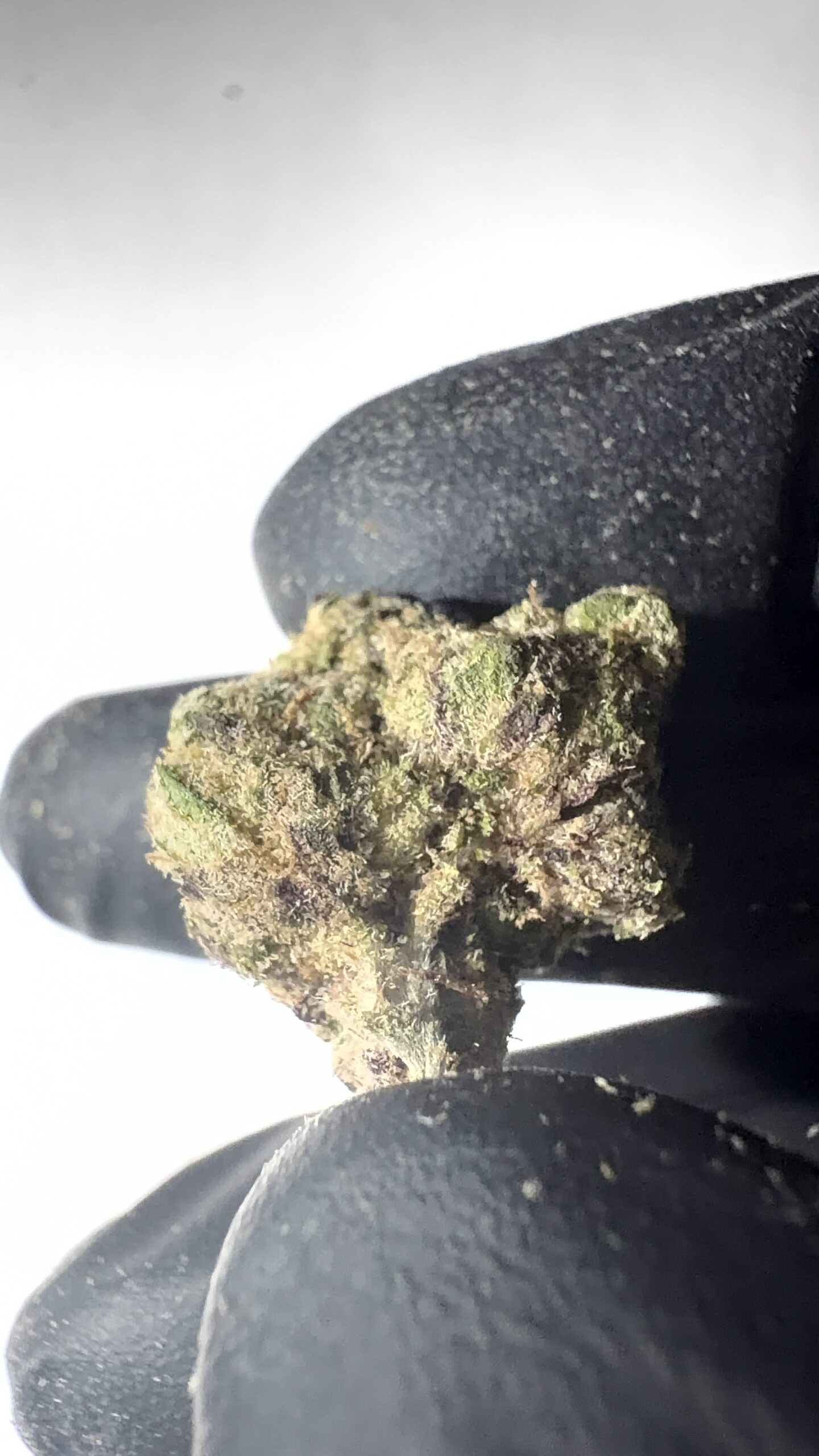 Strawberry Cough - THCA Flower (Sativa) - Image 7