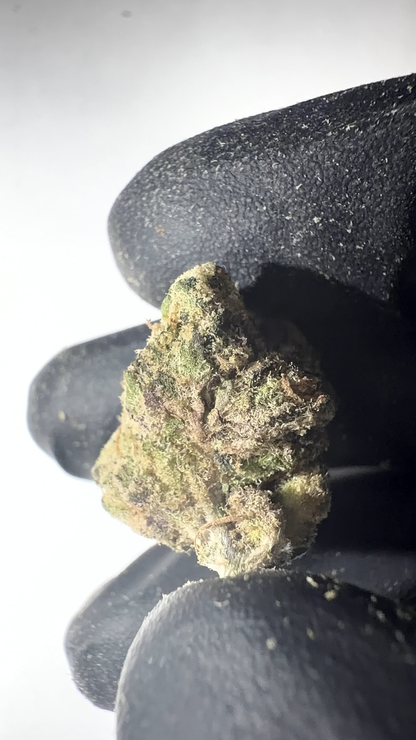 Strawberry Cough - THCA Flower (Sativa) - Image 6