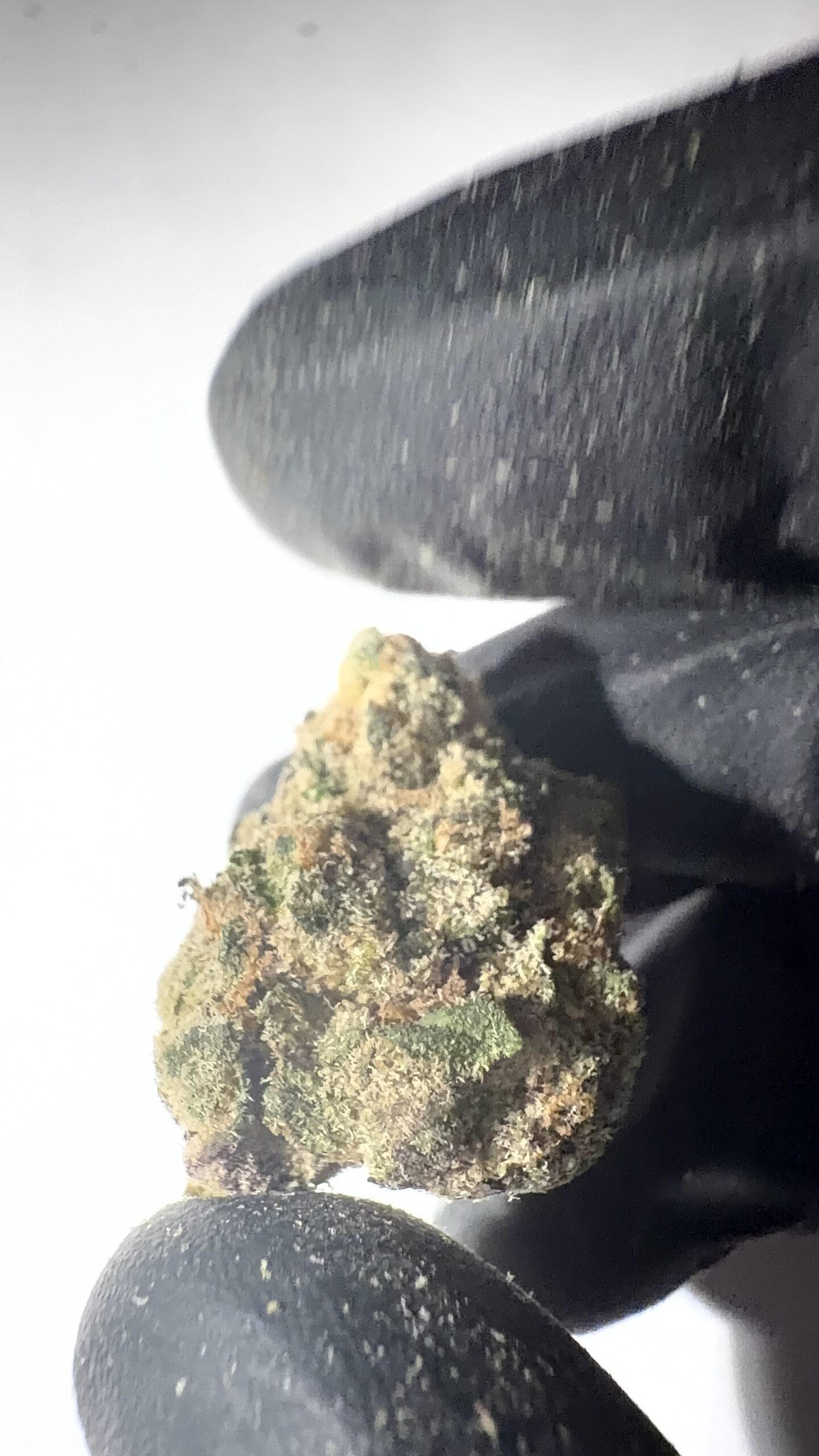 Strawberry Cough - THCA Flower (Sativa) - Image 4