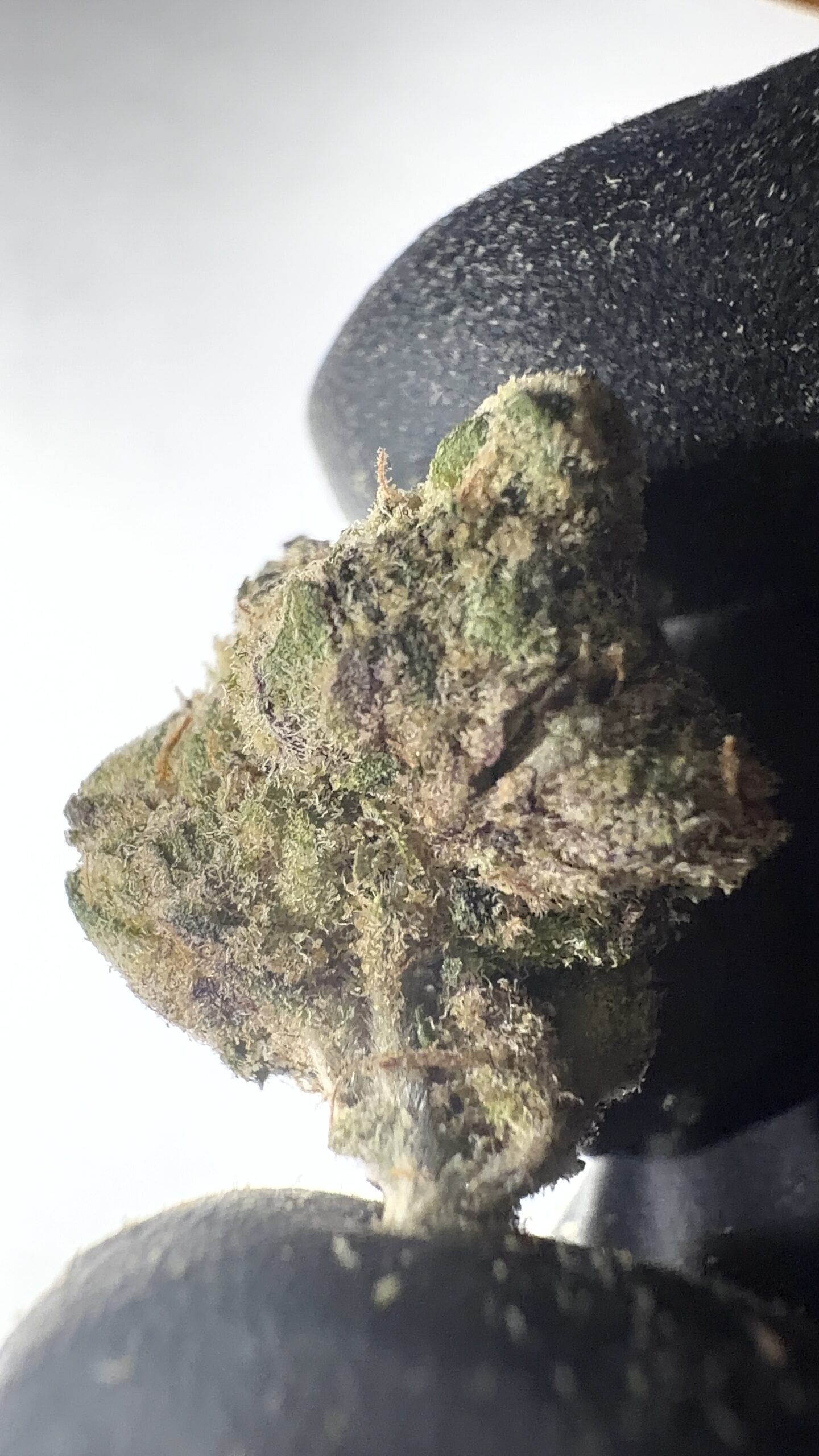 Strawberry Cough - THCA Flower (Sativa)