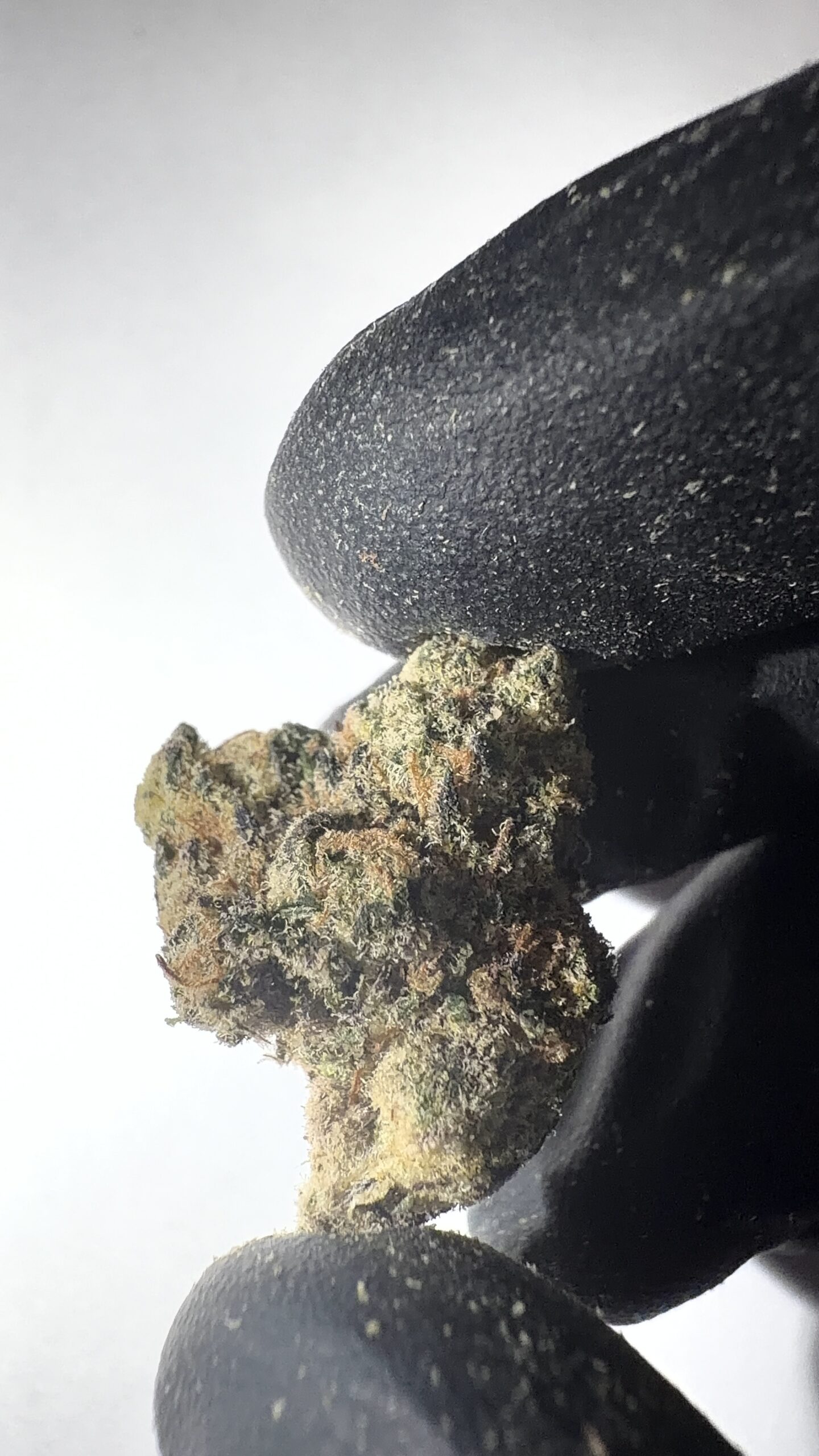 Strawberry Cough - THCA Flower (Sativa) - Image 2