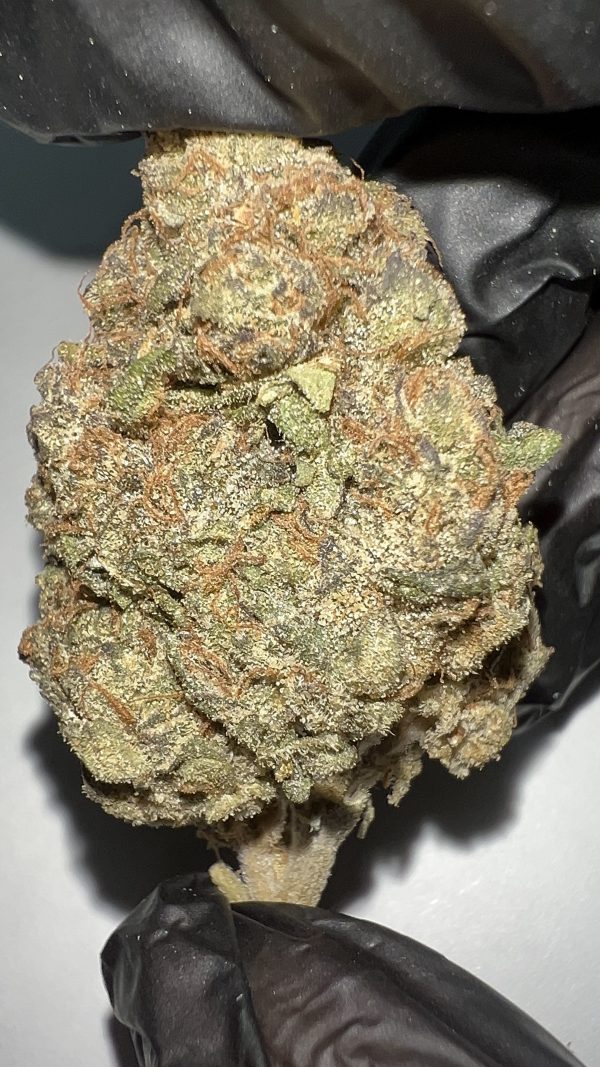 Hindu Kush - THCA Flower (Indica)