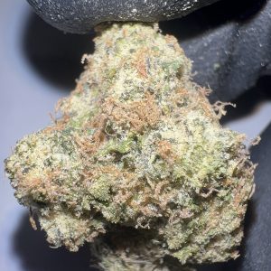 Raspberry Gas - THCA Flower (Hybrid)