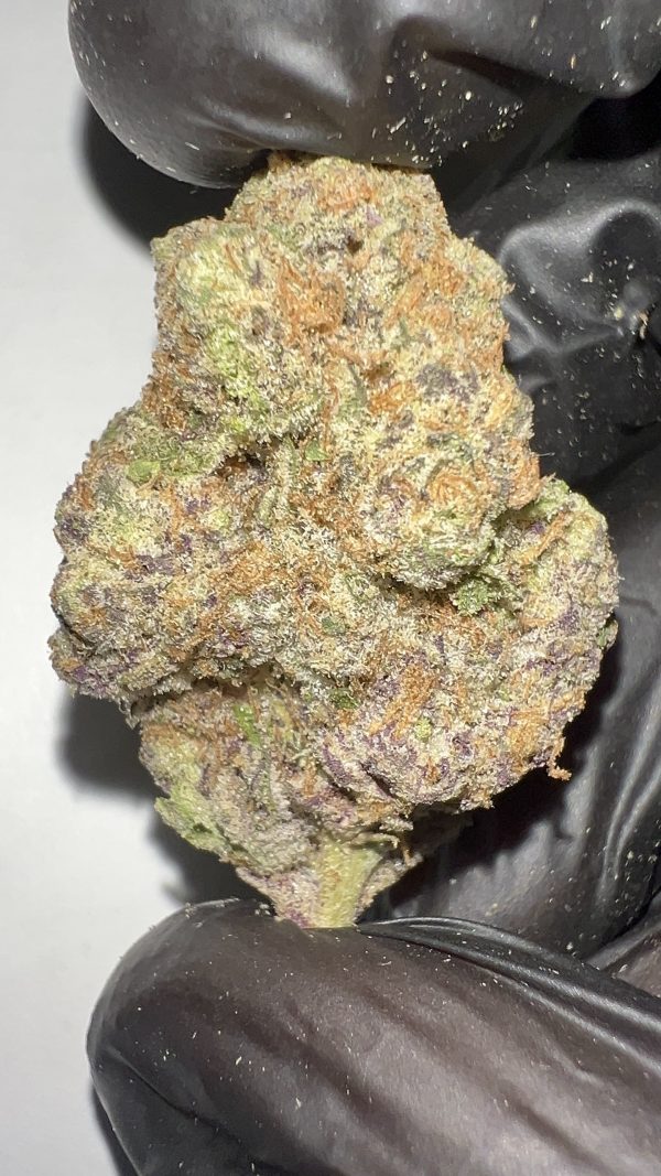 Grand Daddy Purple - THCA Flower (Indica)