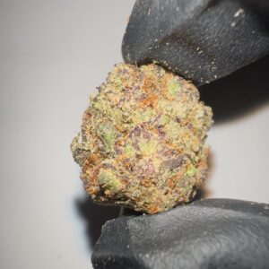 Purple Haze - THCA Flower (Sativa)