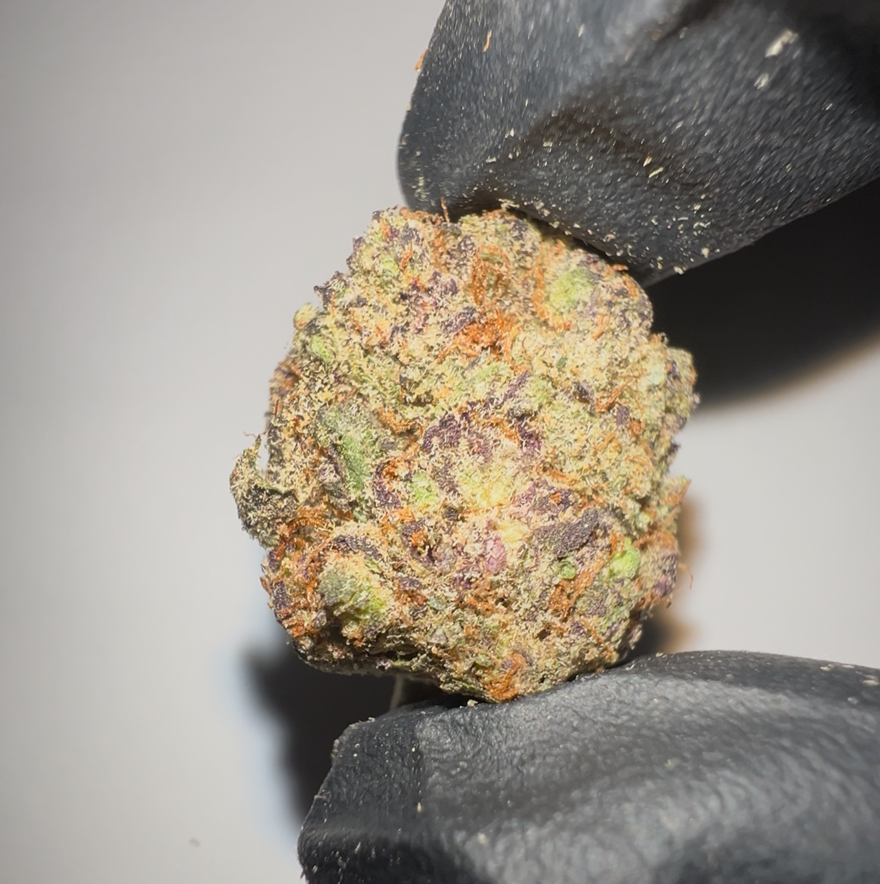 Purple Haze - THCA Flower (Sativa)
