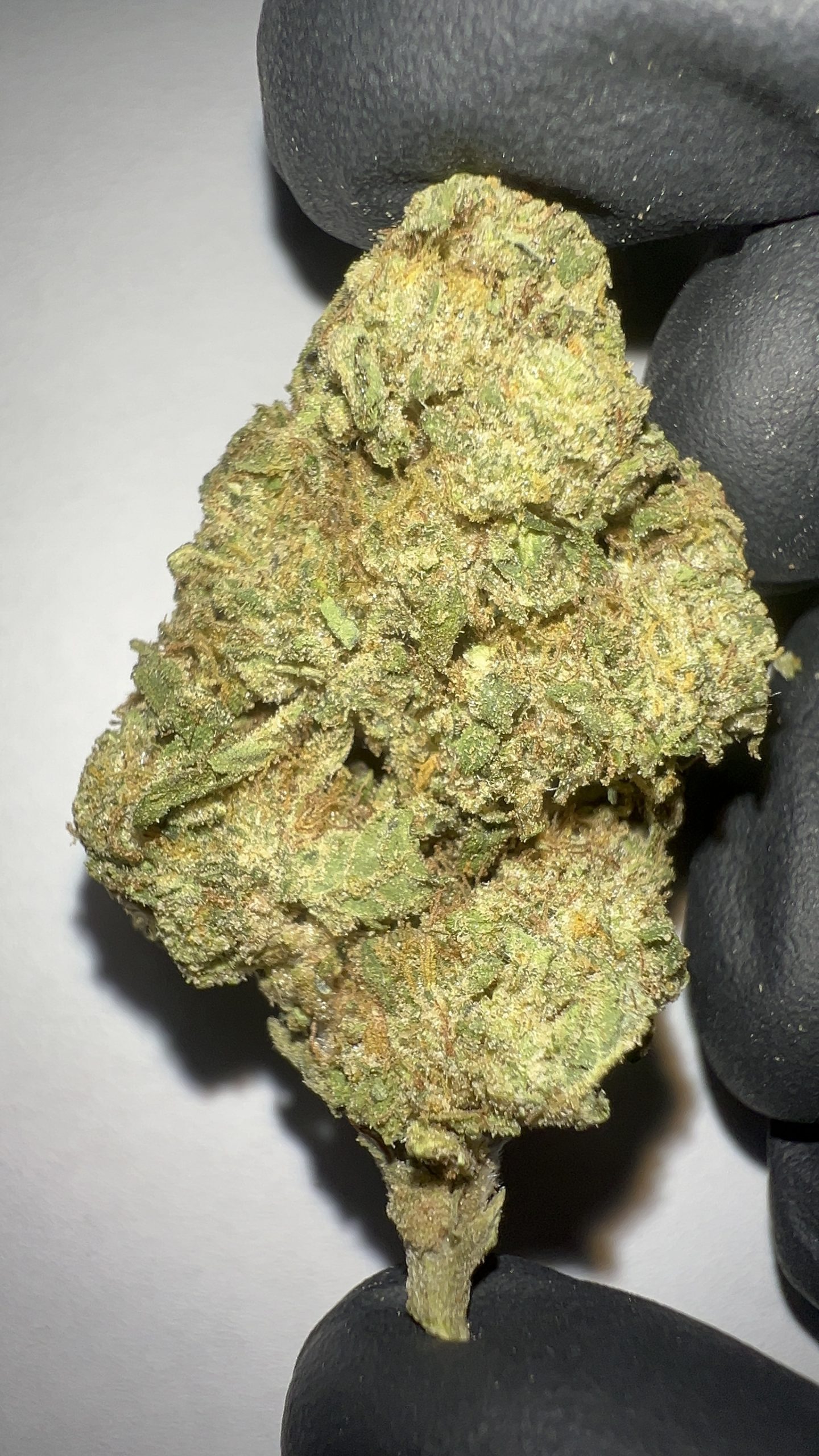 Cereal Milk - Light Assist THCA Flower (Hybrid) - Image 2