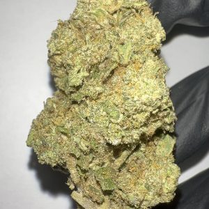 Cereal Milk - Light Assist THCA Flower (Hybrid)