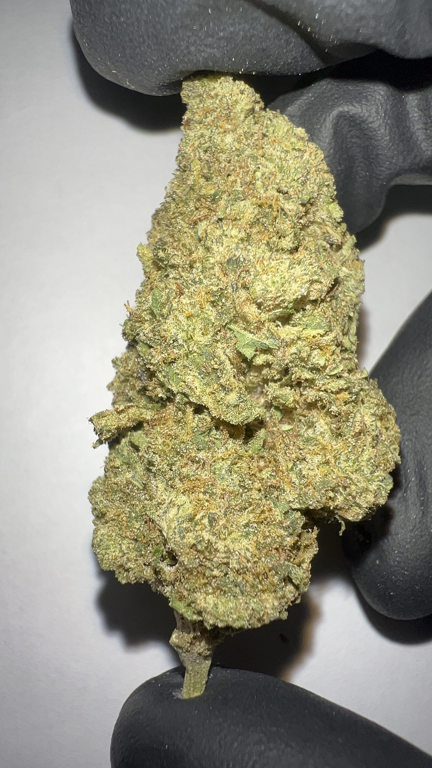 Cereal Milk - Light Assist THCA Flower (Hybrid) - Image 3