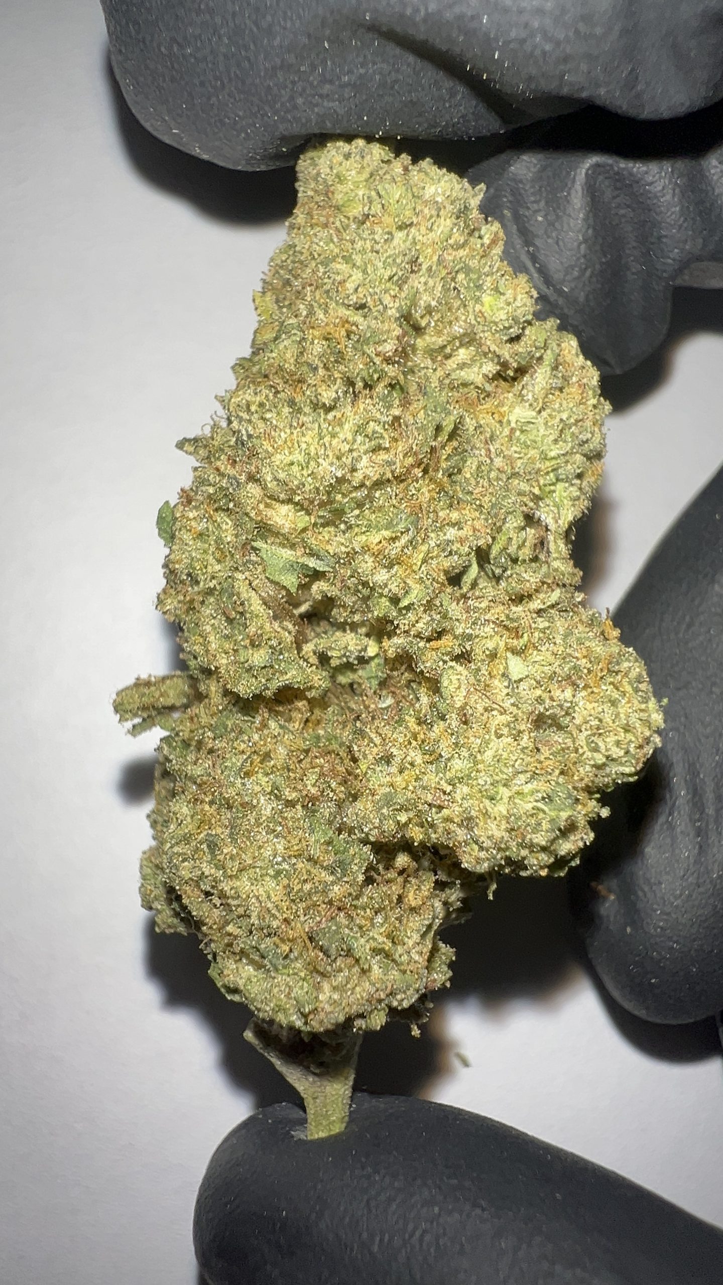 Cereal Milk - Light Assist THCA Flower (Hybrid) - Image 4